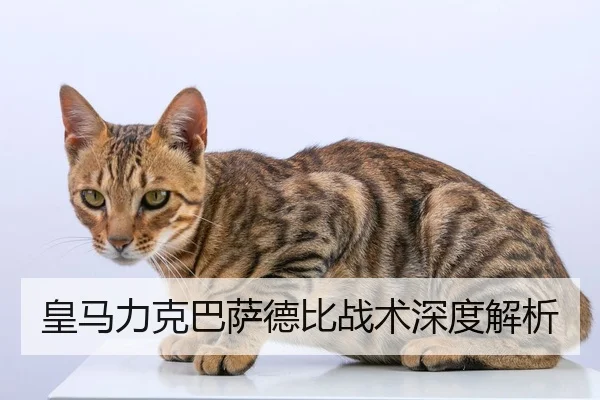 皇马力克巴萨德比战术深度解析